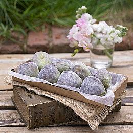 千呼万唤 《艾尔登法环:黑夜君临》双人模式正式上线