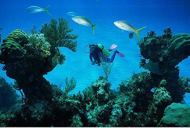 美国销量月榜:9月《星空》登顶 助收入增长10%